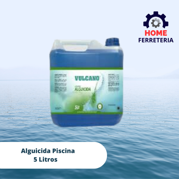 Alguicida Piscina 5 Litros